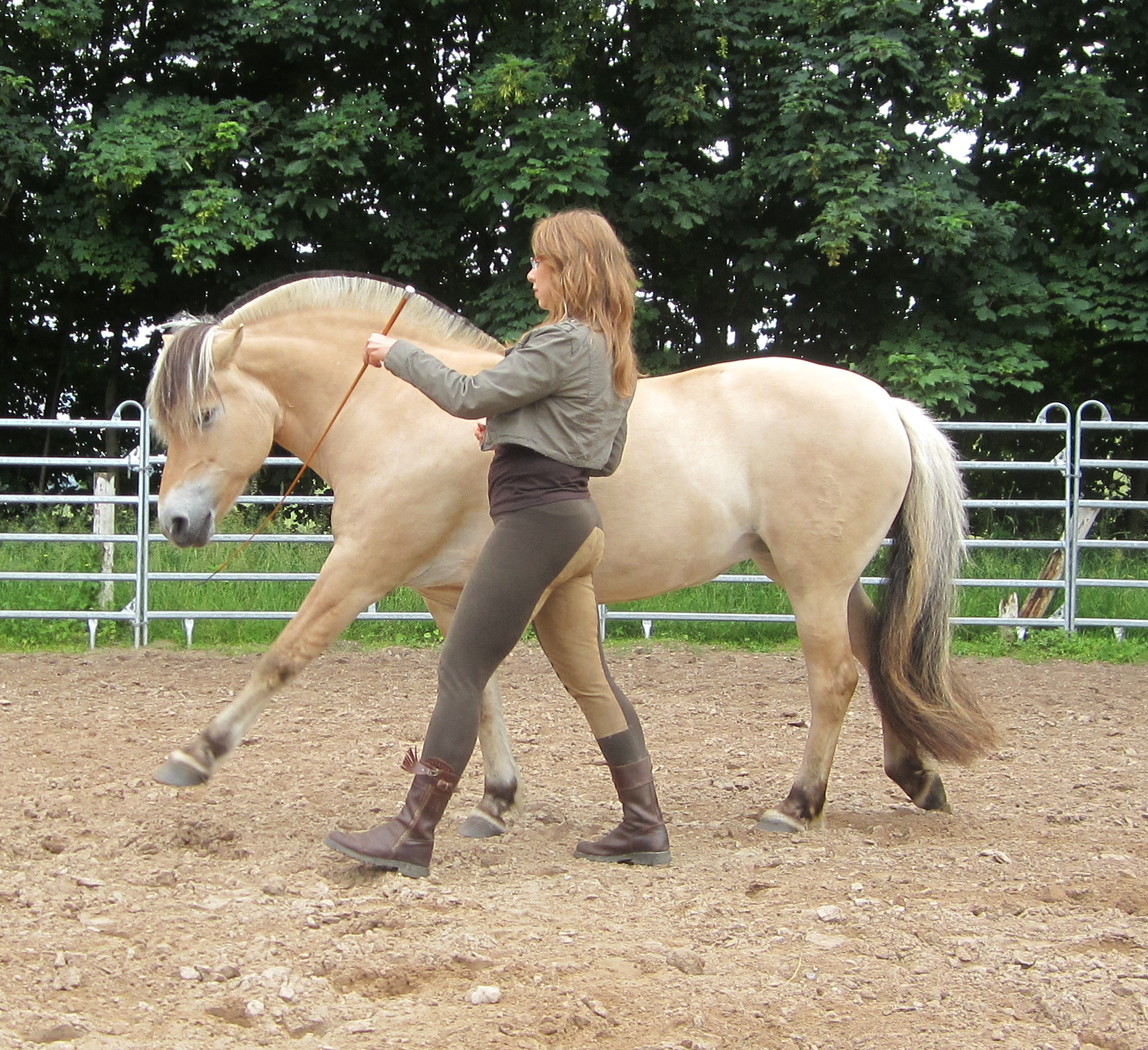 Das Pferd dient als "Spiegel", Körperhaltung sowie innere Haltung des Menschen werden sichtbar und spürbar. 
